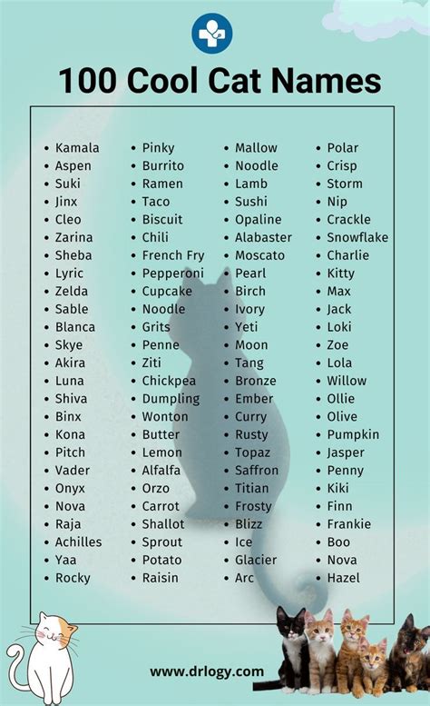 111 Unique Cat Names That Are Quirky in the Best Way.